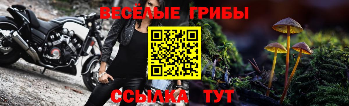 Псилоцибиновые грибы Psilocybine cubensis  Вход с VPN  Десногорск 